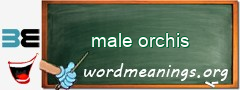 WordMeaning blackboard for male orchis